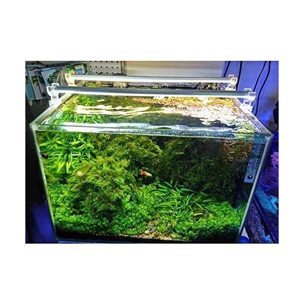 OrionLed Beyaz 60 cm 6500K Akvaryum Led Aydınlatma