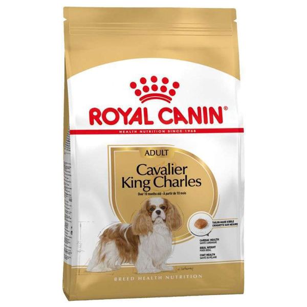 Royal Canin Cavalier King Charles 3 kg Yetişkin Kuru Köpek Maması
