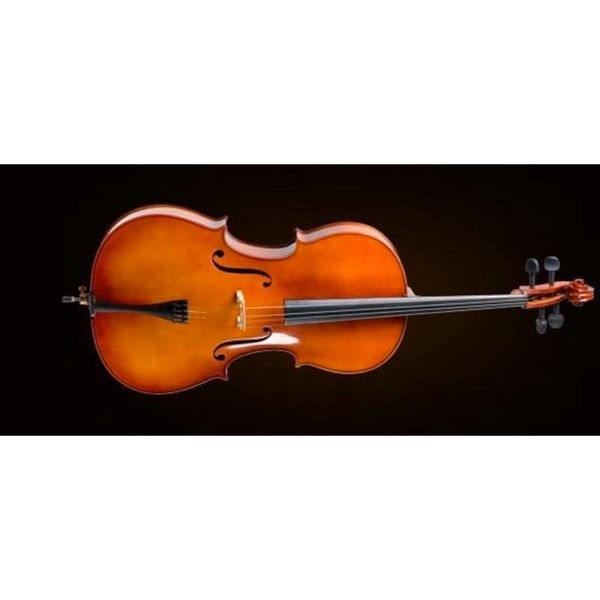 Valencia CE400F44 4-4 Fransız Sistem Çello