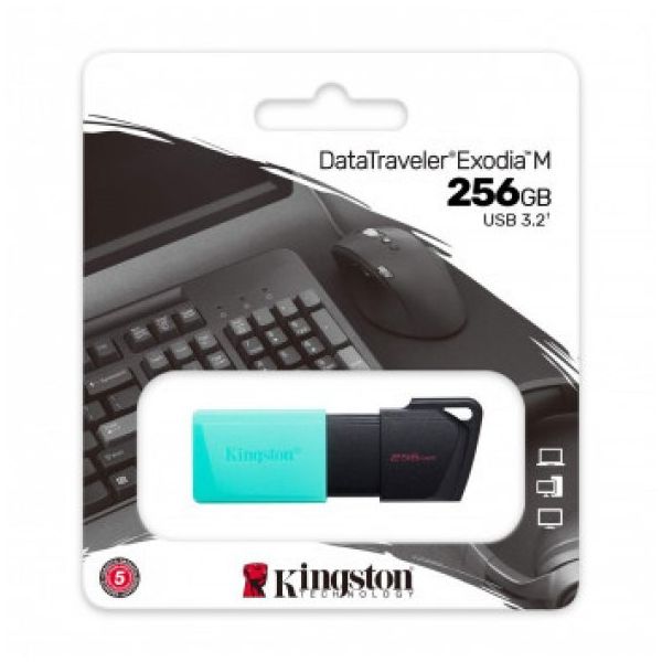 Kingston DataTraveler Exodia M DTXM/256 256 GB Flash Bellek