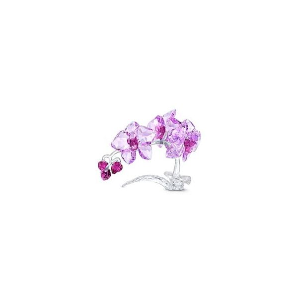 Swarovski 5520373 Biblo