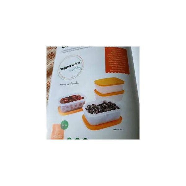 Tupperware Alaska 4'lü Saklama Kabı