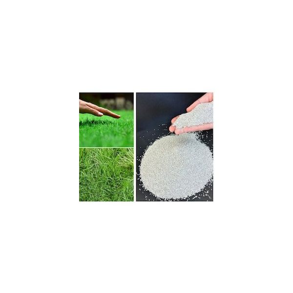 Bermuda Grass Cynodon Dactylon 5 kg Çim Tohumu