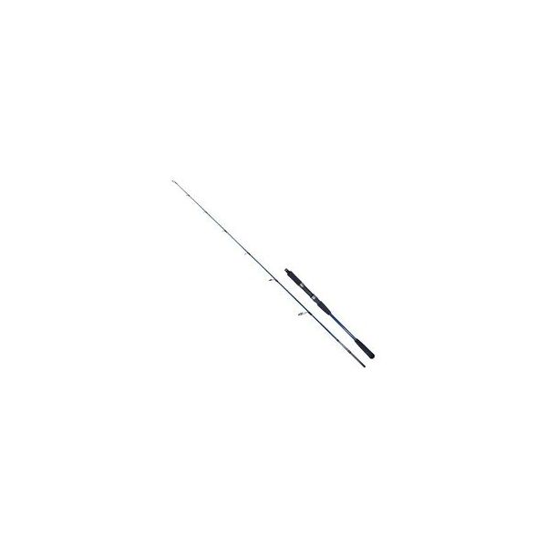 Ryuji Strobe II 1.68 mt 60-130 gr 2P Olta Kamışı