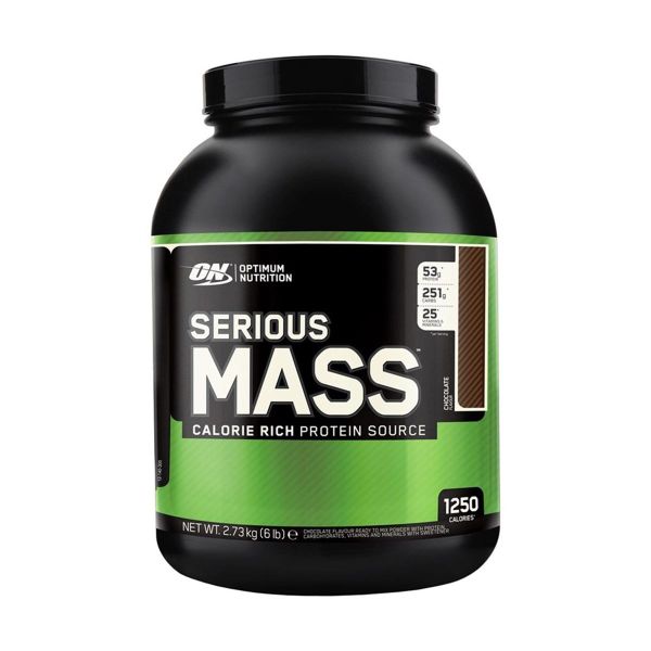 Optimum Nutrition Optimum Serious Mass Gainer 2727 gr Protein Tozu