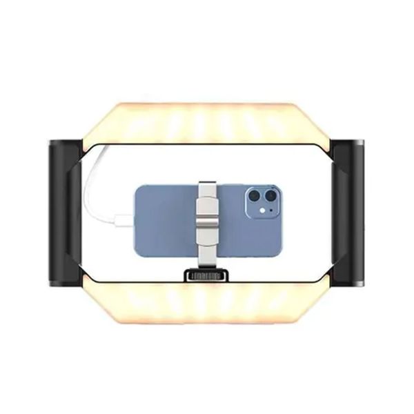 Ulanzi U-Rig Işıklı Telefon Video Rig Çerçeve