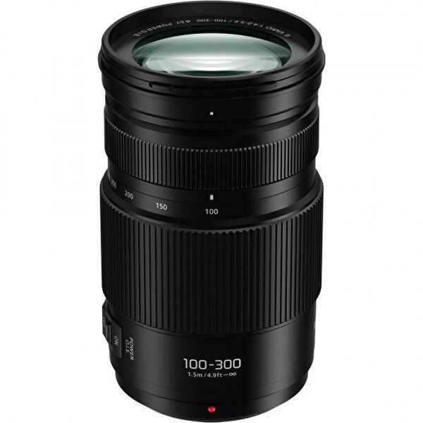 Panasonic Lumix G Vario 100-300 mm f/4-5.6 II Power OIS Lens