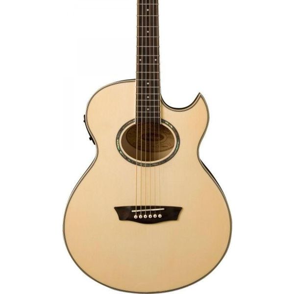 Washburn EA20 Elektro Akustik Gitar