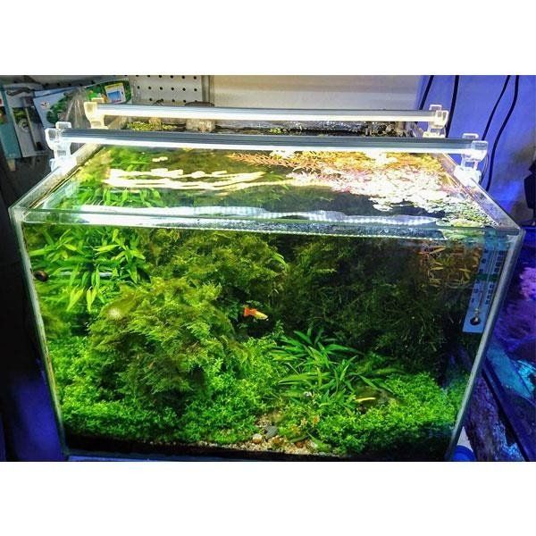 OrionLed Daylight 70 cm 3000K Akvaryum Led Aydınlatma