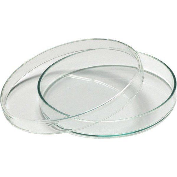 Aropi Plastik İki Bölmeli Steril Aseptik 90 x 15 mm 140 Adet Petri Kabı Kutusu