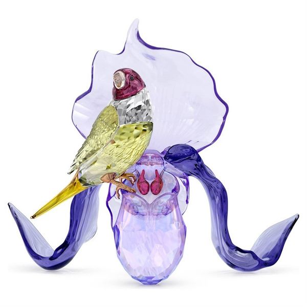 Swarovski 5675211 Idyllia Gouldian Finch And Orchid Biblo