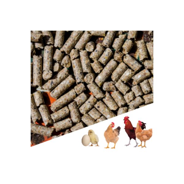 Narım 50 kg Pelet Proteinli Özel Tavuk Kaz Ördek ve Kanatlı Hayvan Besi Yumurta Yemi