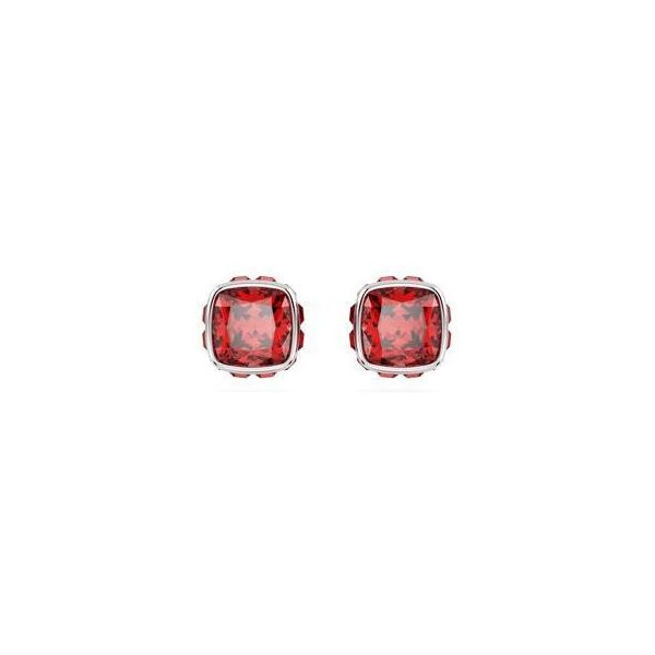 Swarovski 5661959 Kadın Küpe