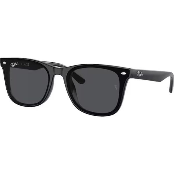 Ray-Ban 0RB4420 601 87 65x18x145 Erkek Güneş Gözlüğü