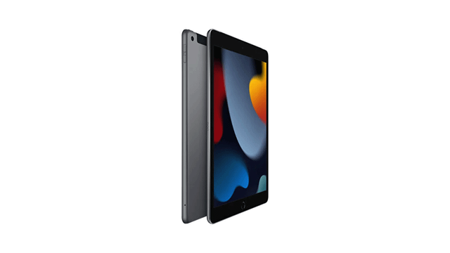 Apple iPad 9 256GB MK4E3TU-A 10.2 inç 5G Uzay Grisi Fiyatları