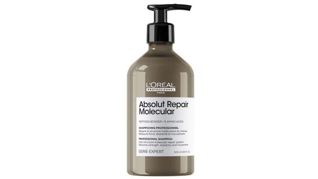 Loreal Professionel Absolut Repair Molecular Yıpranmış Saçlar İçin