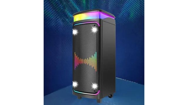 Torima Dr-8816 Siyah Çift Mikrofonlu RGB Ledli Taşınabilir