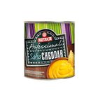 Azteca 3 kg Salsa Cheddar Peynir Sosu