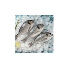 Balık Ye 200-300 gr Çipura