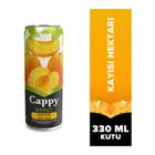 Cappy 330 ml Kayısı Nektarı Kutu Meyve Suyu