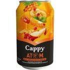 Cappy 330 ml Kutu Atom Meyve Suyu