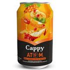 Cappy Atom 12x330 ml Kutu Meyve Suyu