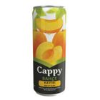 Cappy Kayısı 12x330 ml Kutu Meyve Suyu
