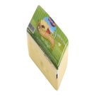 İtimat 700 gr Kaşar Peyniri