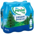 Pınar 1 lt 6'lı Su