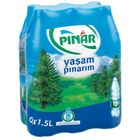 Pınar Yaşam Pınarım 6x1.5 lt Su