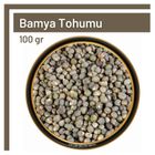 Tos The Organic Spices 100 gr Bamya Tohumu