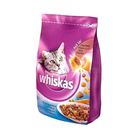 Whiskas 300 gr Kuru Tonlu Kedi Maması