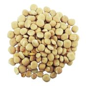 1 kg Acı Bakla Termiye
