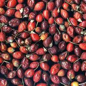 1 kg Kurutulmuş Kuşburnu