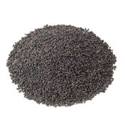 1 kg Siyah Hardal Tohumu