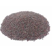 1 kg Siyah Hardal Tohumu Tozu