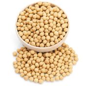 1 kg Soyalı Çıtır Leblebi