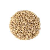 1 kg Tane Çekilmemiş Bulgur