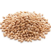 1 kg Yerli Yarma Buğday