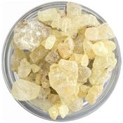 100 gr Sandroz Sakızı