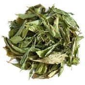 100 gr Stevia Yaprağı