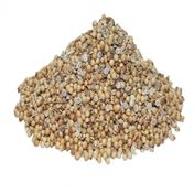 1000 gr Doğal Tane Kişniş
