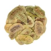250 gr Organik Taze Dökme Açlık Otu