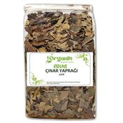 30 gr Derin Yırtıklı Çınar Yaprağı
