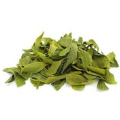 40 gr Ökse Otu