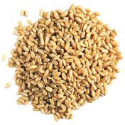 5 kg Yerli Buğday