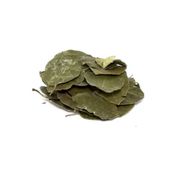 50 gr Avokado Yaprağı