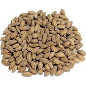 500 gr Kavrulmuş Antep Fıstığı