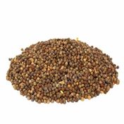 500 gr Rezene Tohumu