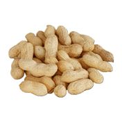500 gr Tuzsuz Kabuklu Fıstık